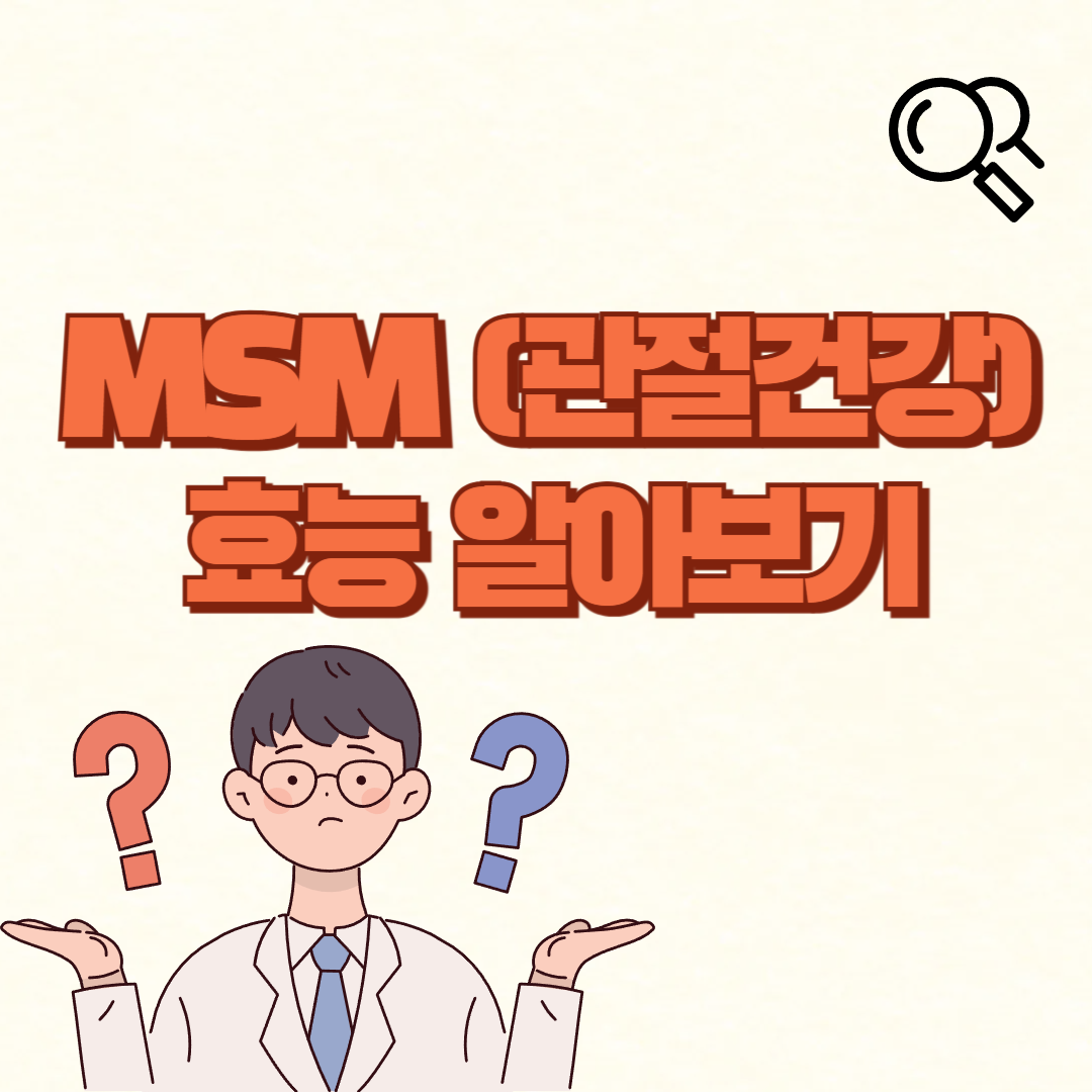 MSM의 효능✅