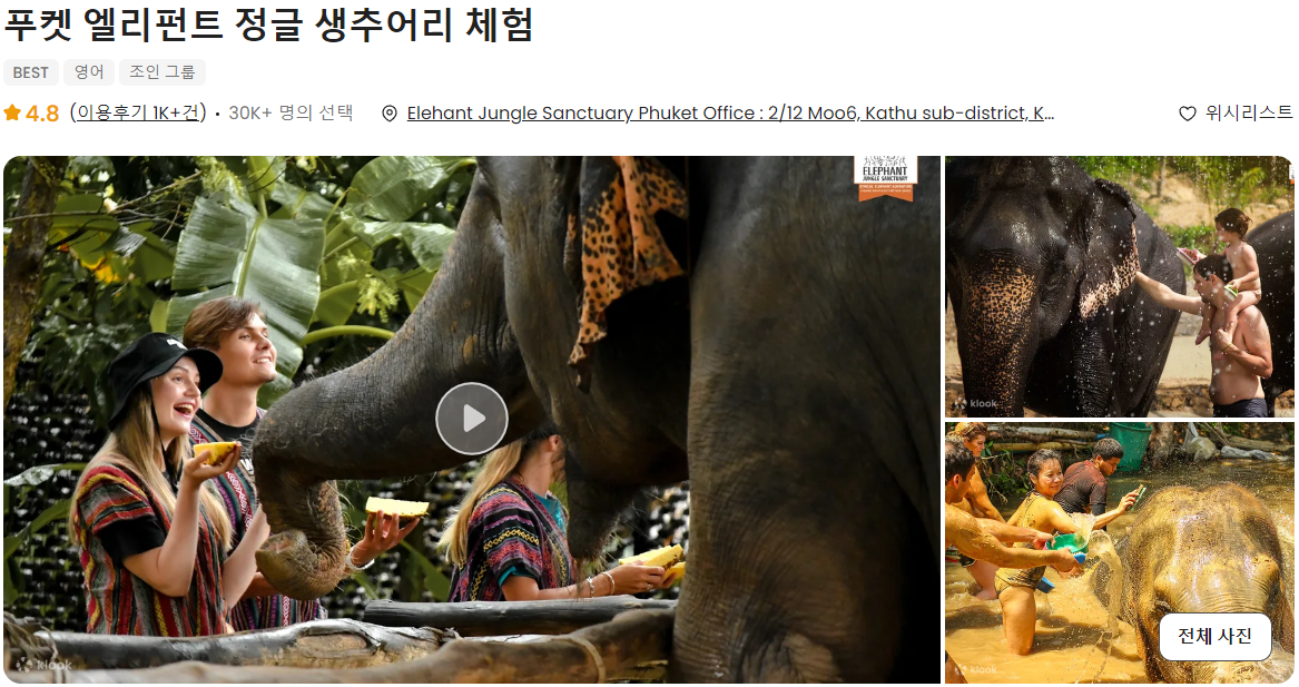 푸켓 가볼만한곳, 엘리펀트 정글 생츄어리 코끼리 샤워시키기 밥주기 후기