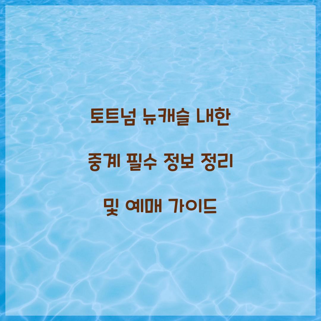 토트넘 뉴캐슬 내한 중계