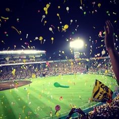 축하-꽃가루가-날리는-야구장