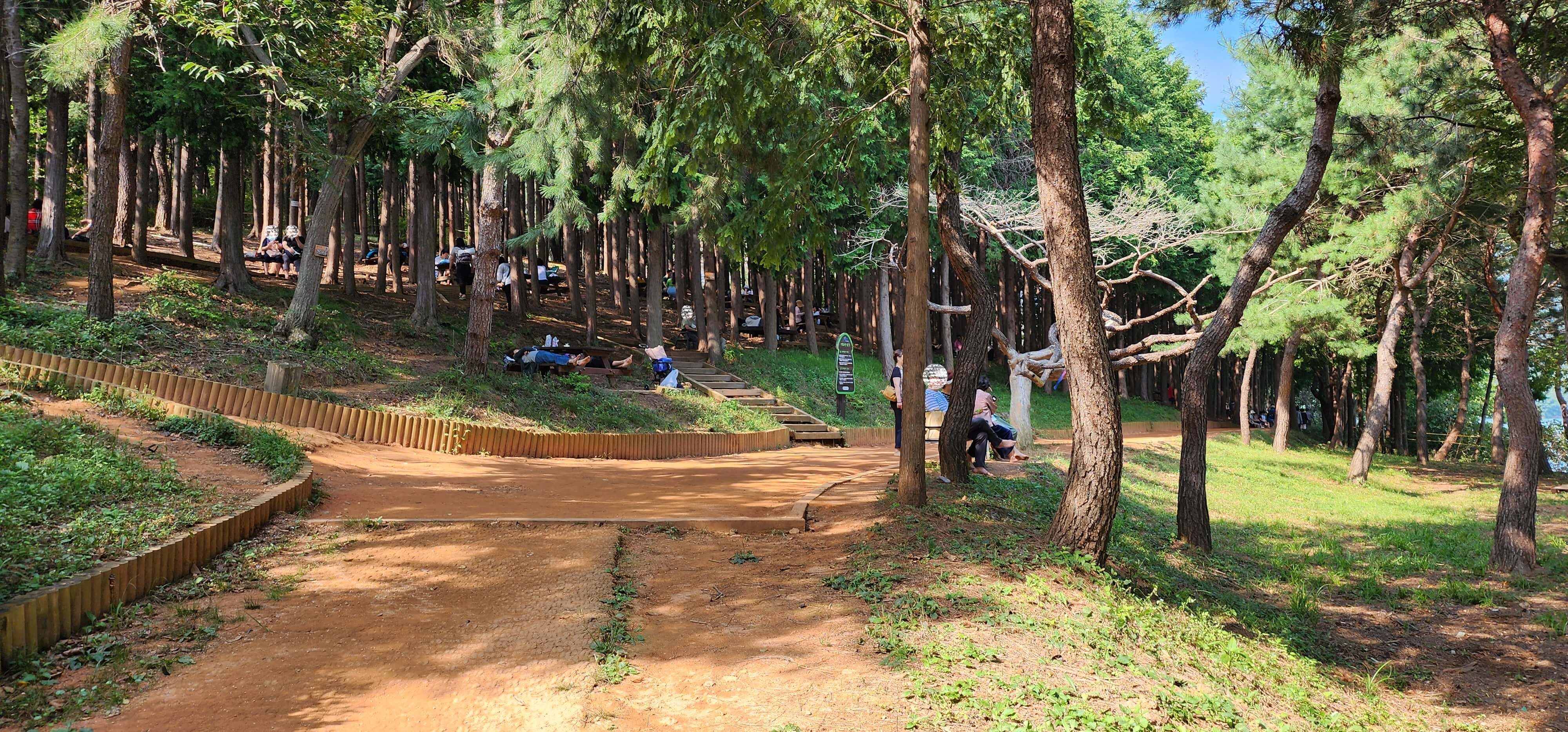 오륜대 땅뫼산 황토숲길 맨발걷기13