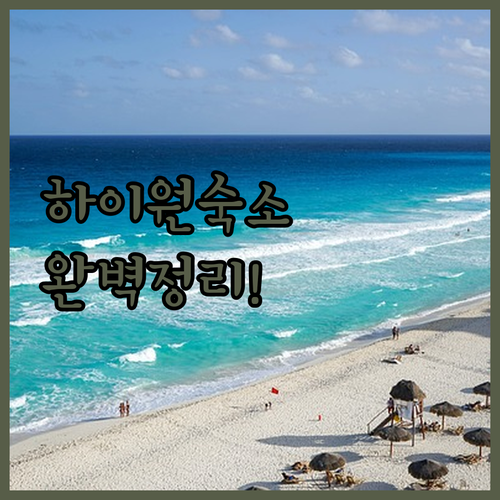 강원도 정선 하이원리조트 주변 숙소 ..
