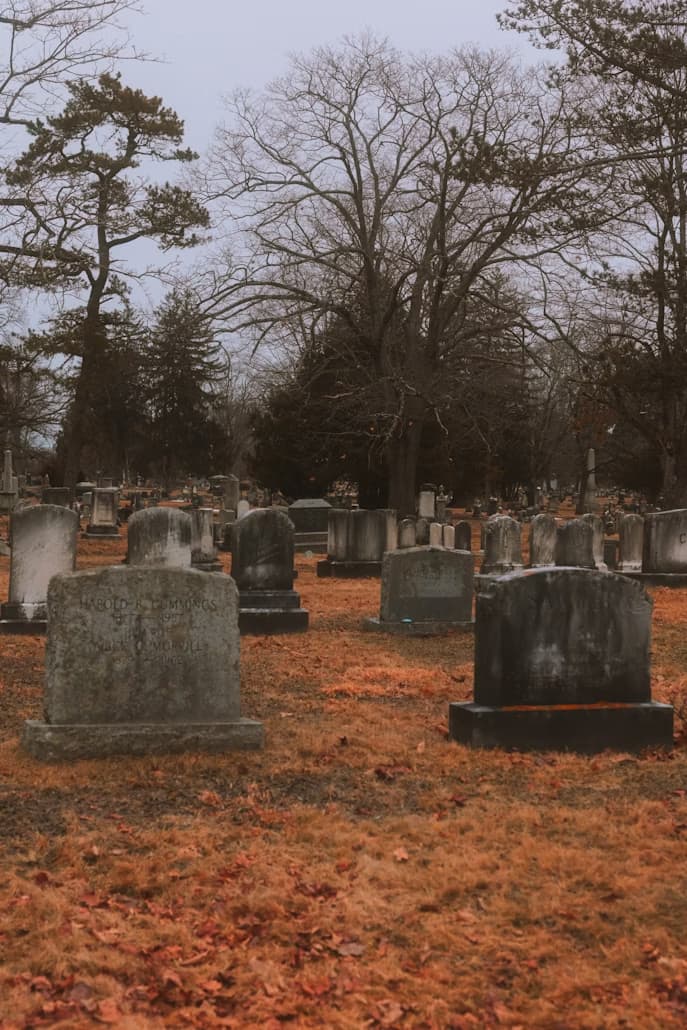 가족묘지 조성 단계