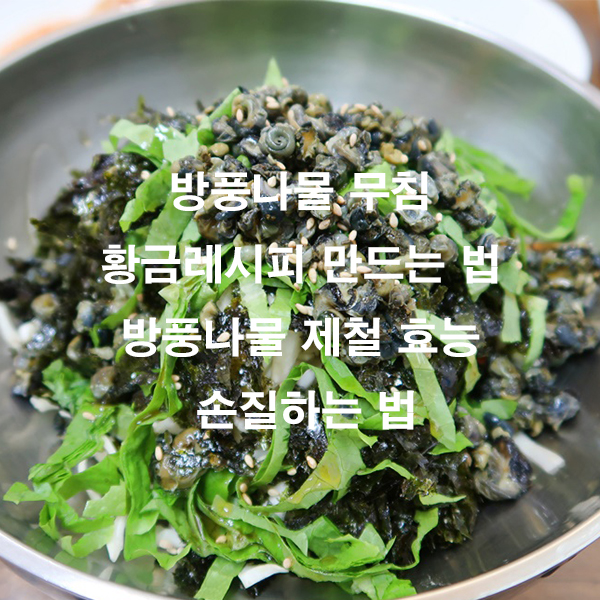 방풍나물 무침 황금레시피 만드는 법 방풍나물 제철 효능 손질하는 법