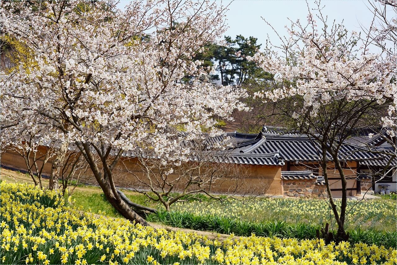 우리은행 정기예금 금리