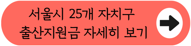 서초구 출산지원금, 첫째 370만원부터 산후도우미 비용 90% 돌려받는 법