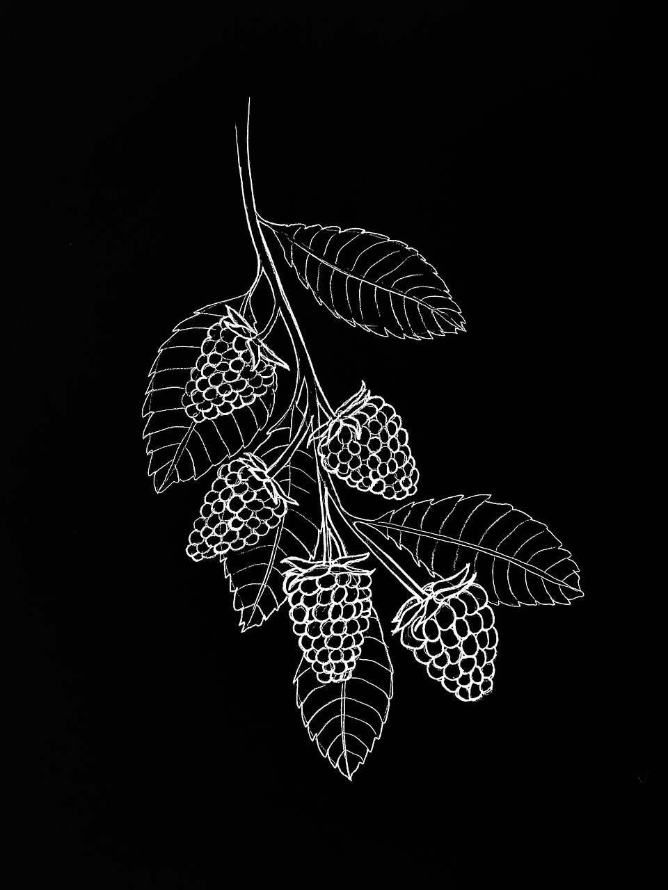 디지털 드로잉 입문자를 위한 선 굵기 연습법