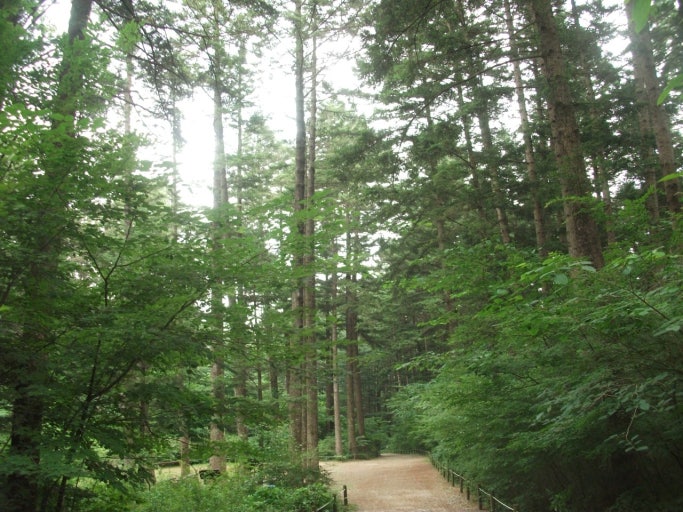 국립수목원 광릉 가는길 이미지