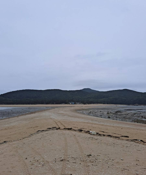 실미도에서 바라본 무의도
