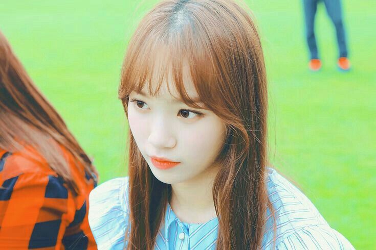 김채원 사진 모음 김채원 사진 모음