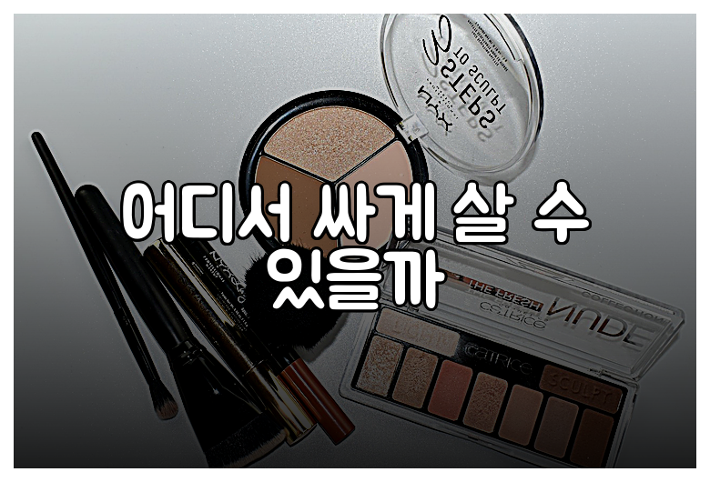 어디서 싸게 살 수 있을까