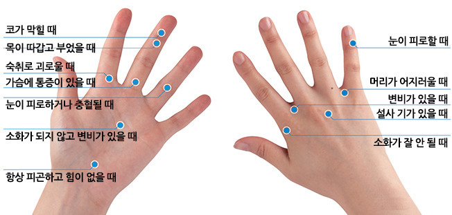 부위 별 지압 효과