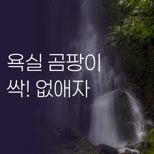욕실 곰팡이, 이제 안녕! 곰팡이 제..