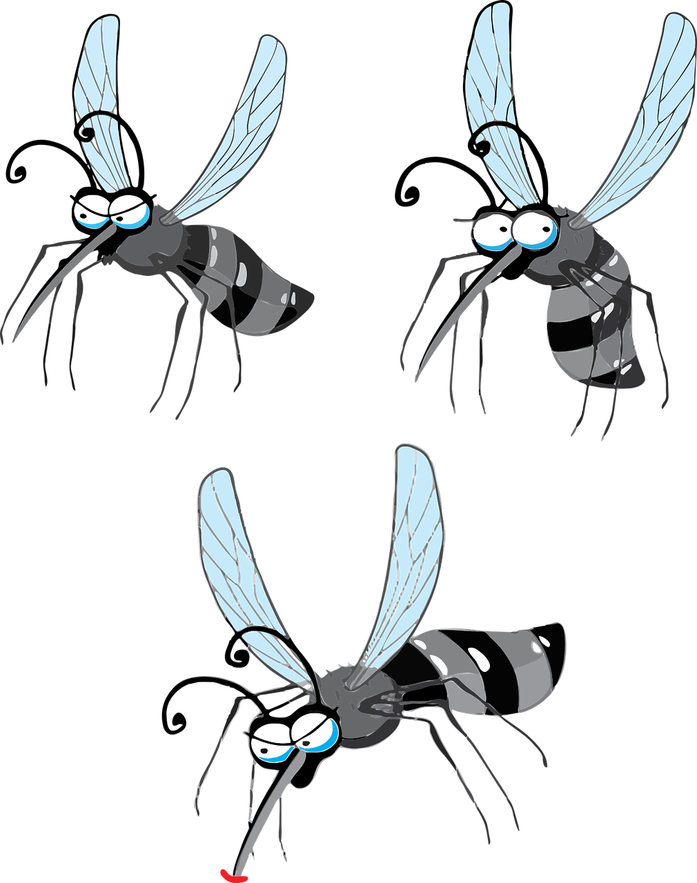 모기, 작은 해충, 뎅기열