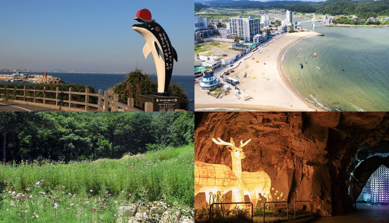 울산 가볼만한곳 베스트 10