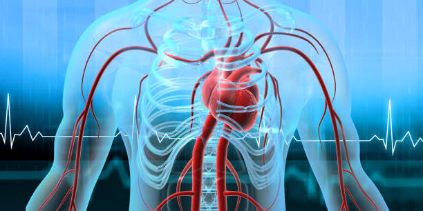 호박잎 효능과 성분, 칼로리를 확인해 보세요! 나이가 들어가니 호박잎을 쌈처럼 먹는 게 맛있더라고요! 다른 반찬이 필요 없는 호박잎에는 어떤 효능이 있는지 볼까요~ 맛있게 먹고 건강해져요!