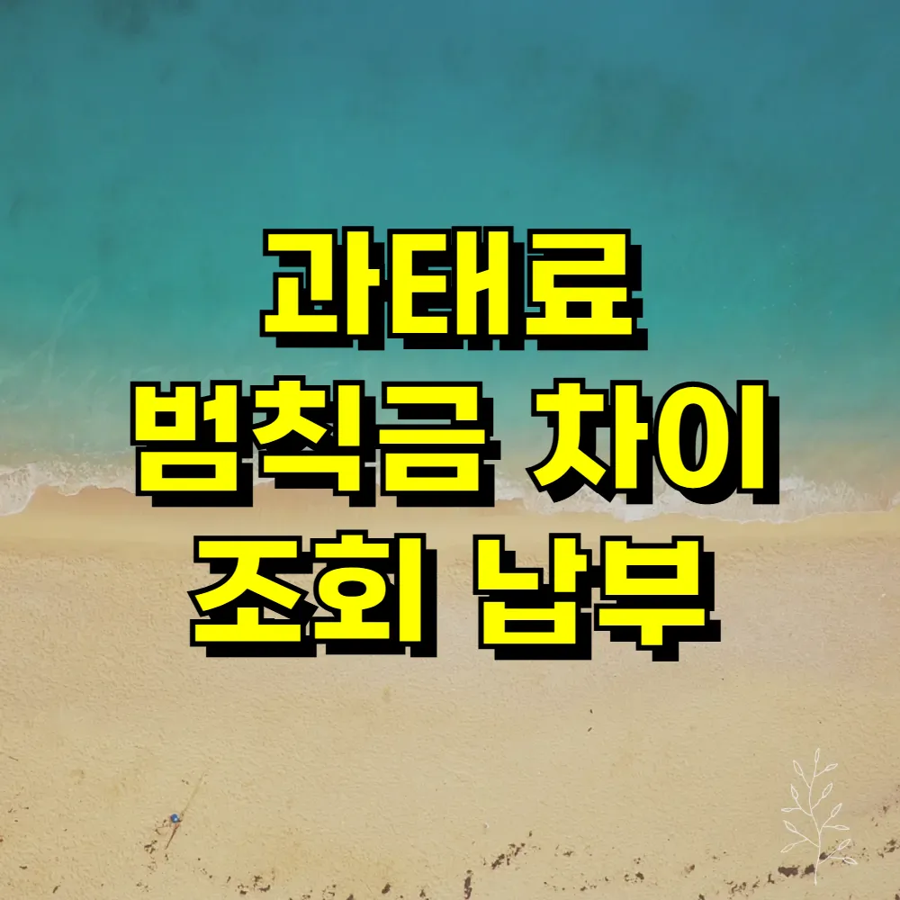 과태료 범칙금 차이 조회 납부