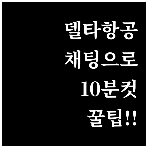델타항공 채팅으로 10분 만에 해결하..