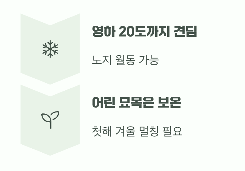 비결 5. 추운 겨울도 거뜬하게, '월동'