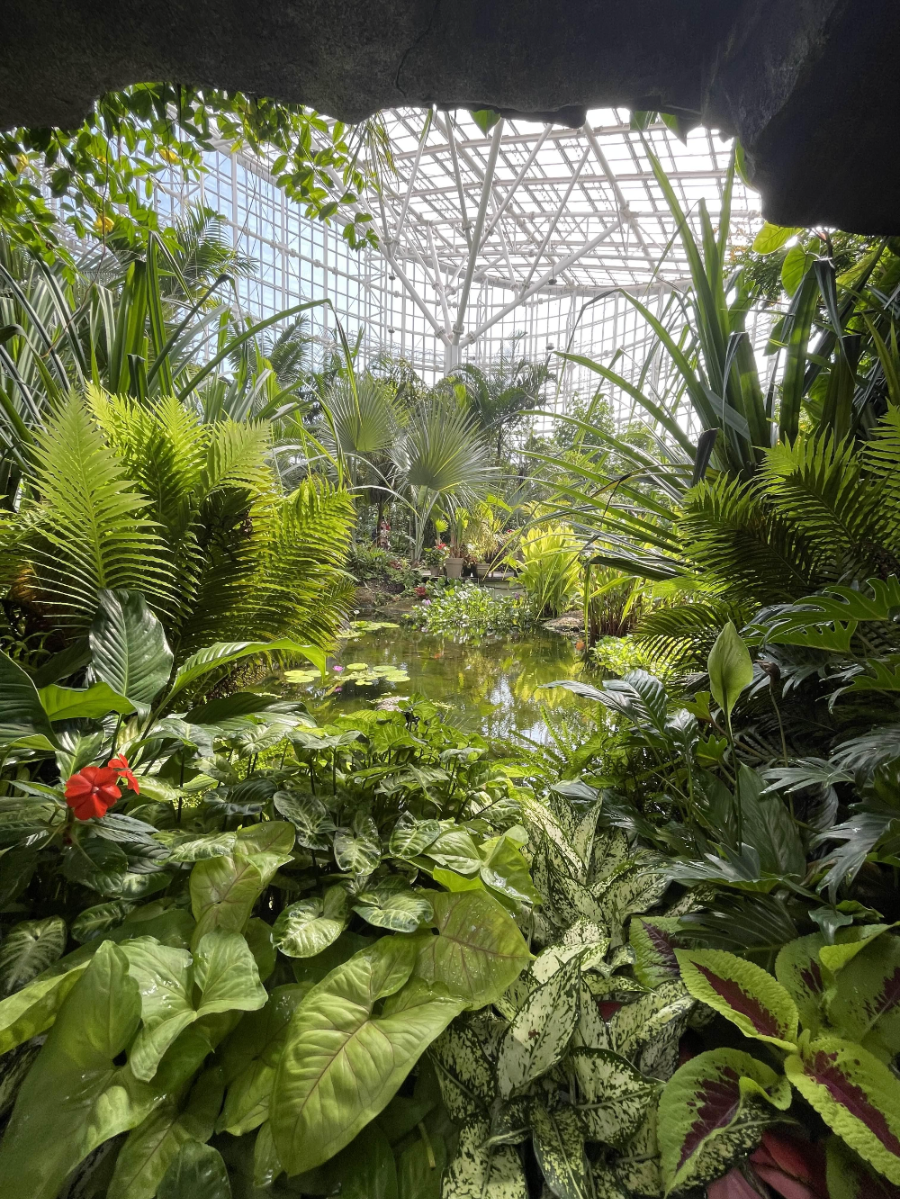 국립 세종수목원 사계절 전시온실 열대식물전시원