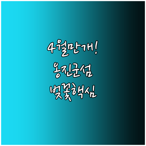 4월 중순 만개하는 옹진군 벚꽃 개화..