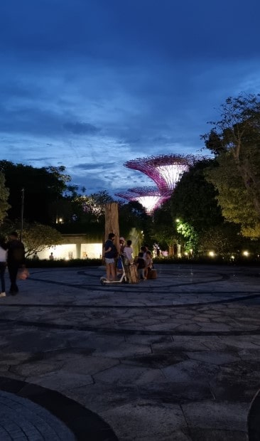 가든스 바이 더 베이 슈퍼 트리 쇼