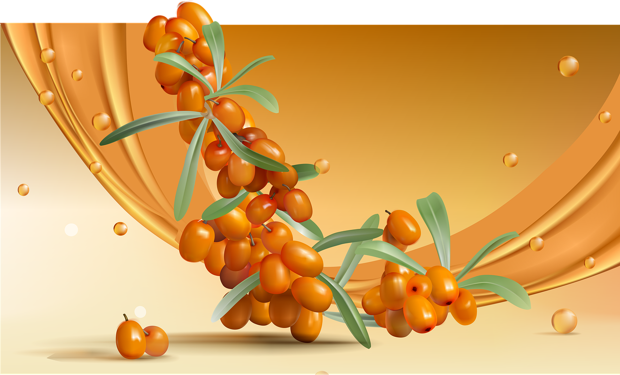 산자열매의 효능