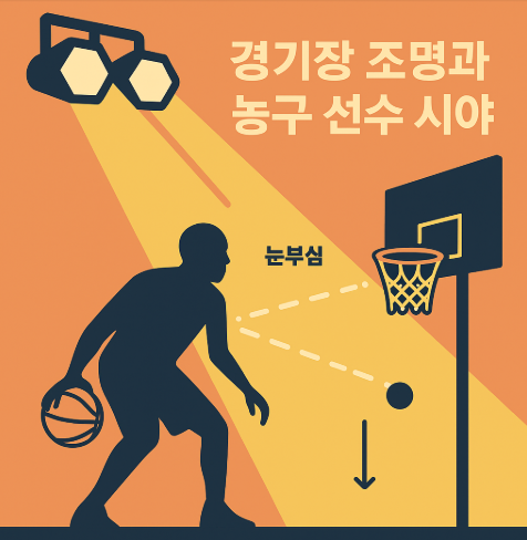 농구 경기장 조명이 선수 시야와 슛 성공률에 미치는 영향을 설명하는 인포그래픽