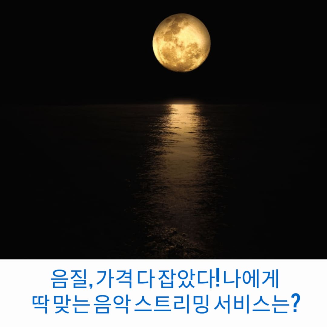 음질-가격-다-잡았다-나에게-딱-맞는-음악-스트리밍-서비스는-썸네일