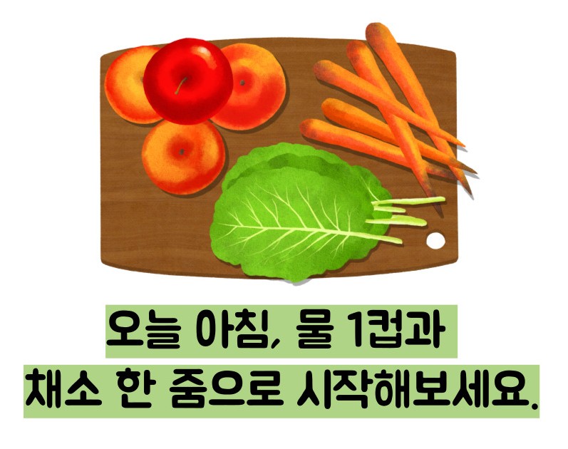 저속노화 식단