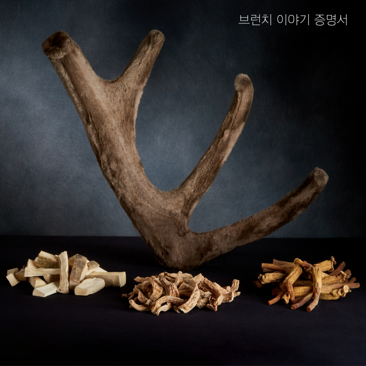 녹용