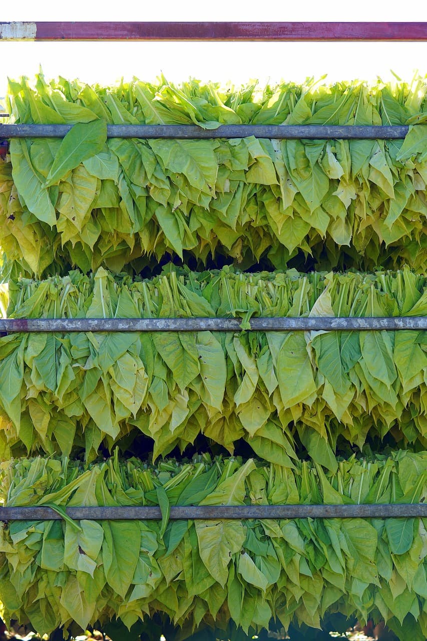 담배끊는방법금연치료지원사업