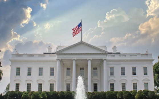 미국 대선 2024 실시간 개표 현황 출구조사 결과는?