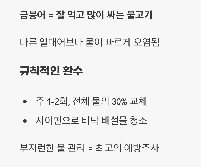 수질 관리 - 금붕어는 물을 많이 더럽혀요