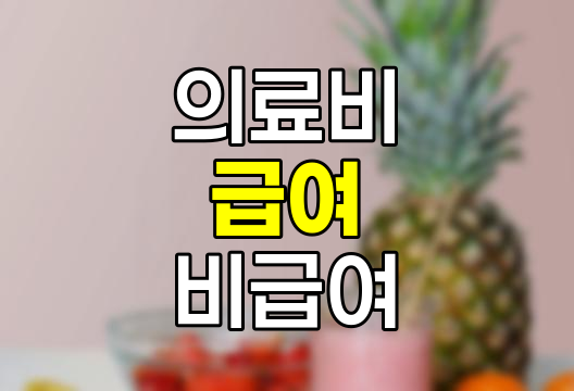 의료비 급여 비급여 차이 완벽 정리 및 비급여 진료비용 비교 방법