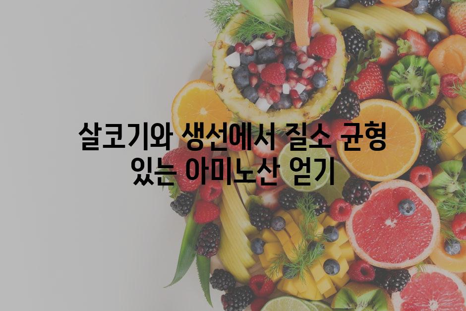 살코기와 생선에서 질소 균형 있는 아미노산 얻기