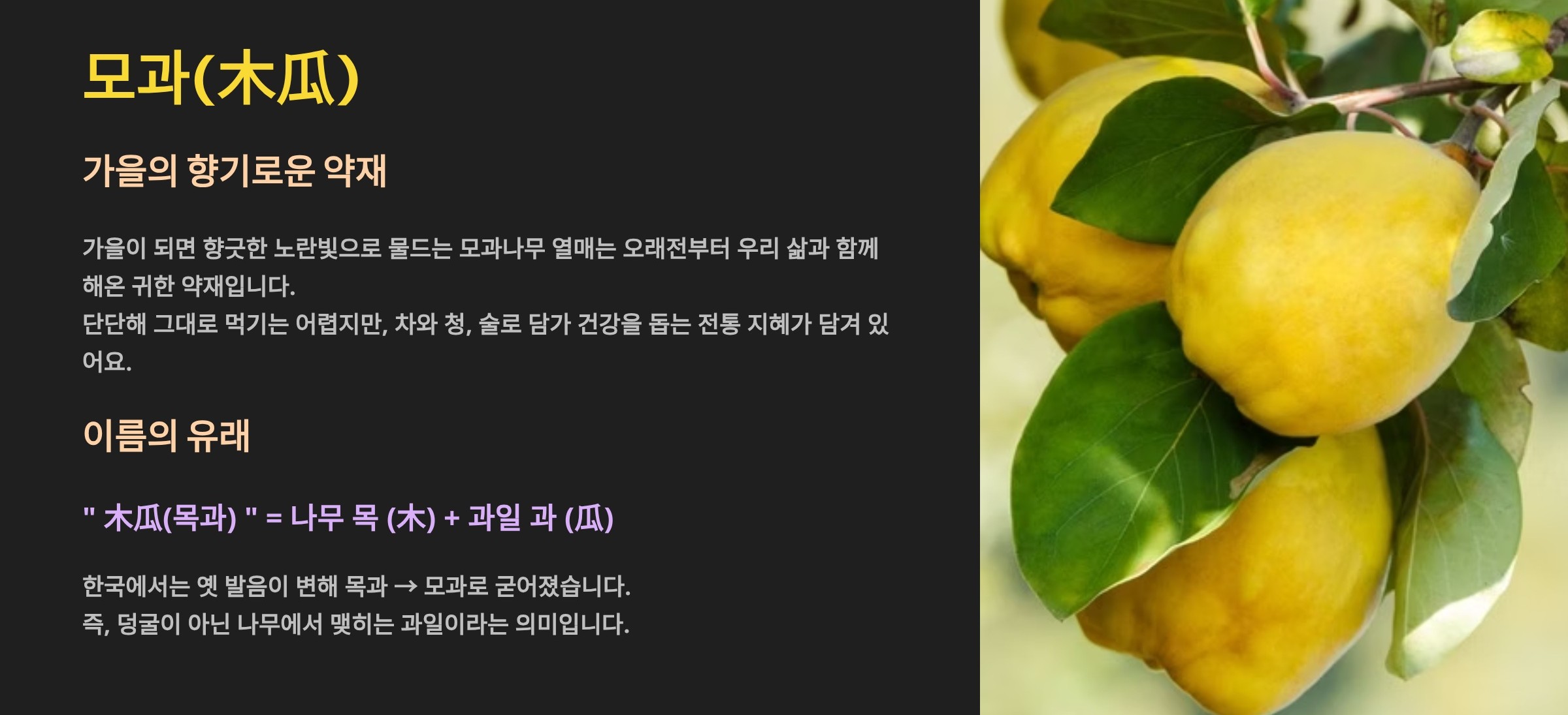 모과