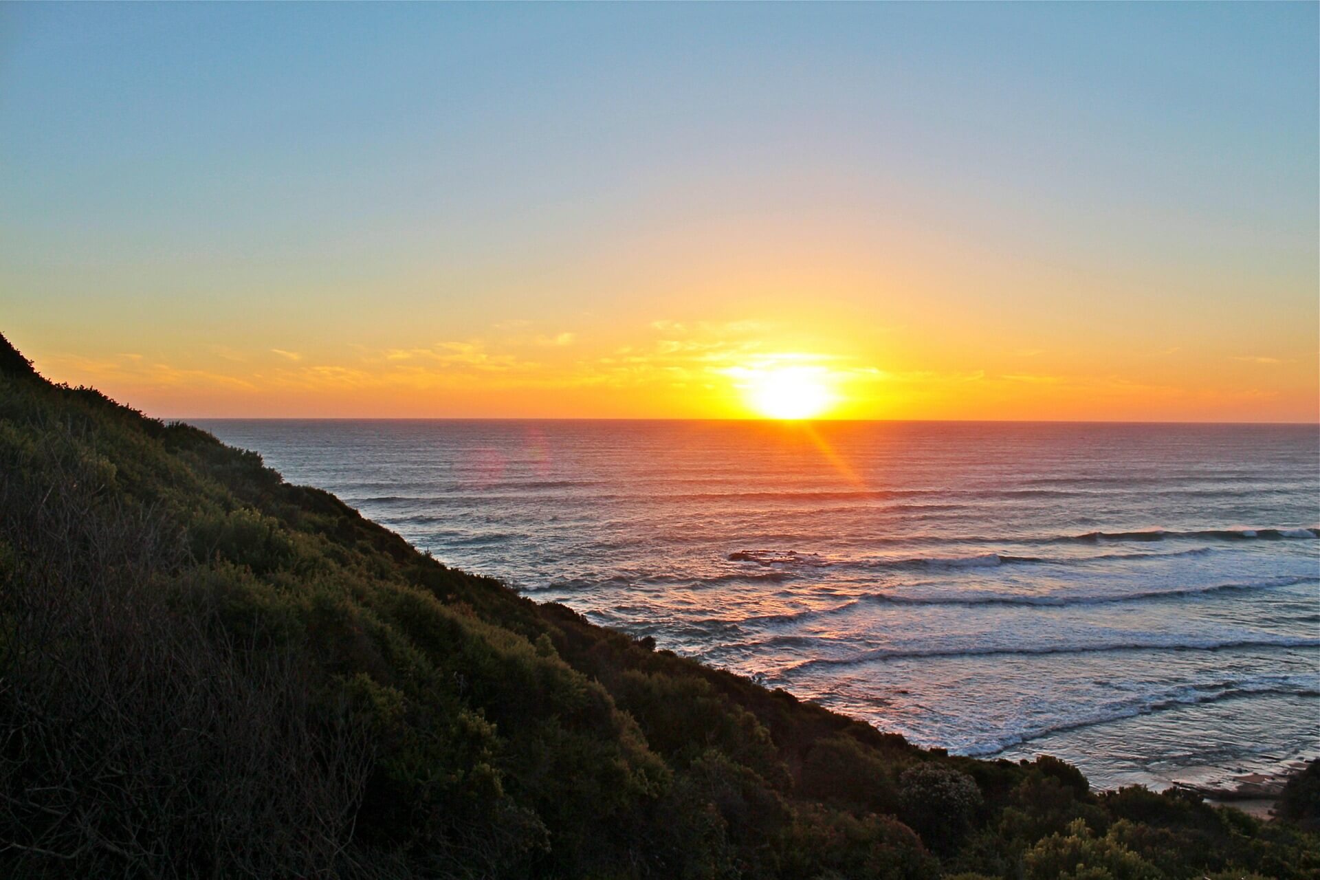 만약 강치 포획이 중단됐다면 살아남을 수 있었을까