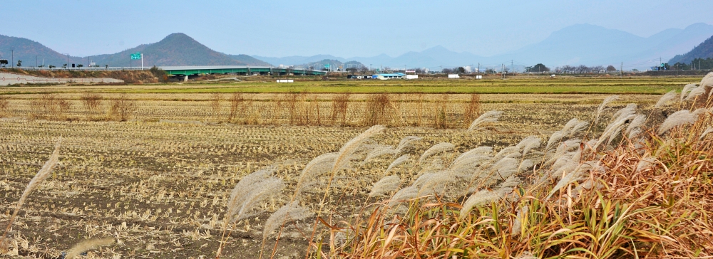 2021년 12월 1일 첫째 주 수요일 대표기도문