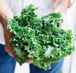 만성 췌장염에 좋은 음식 영양제 식단