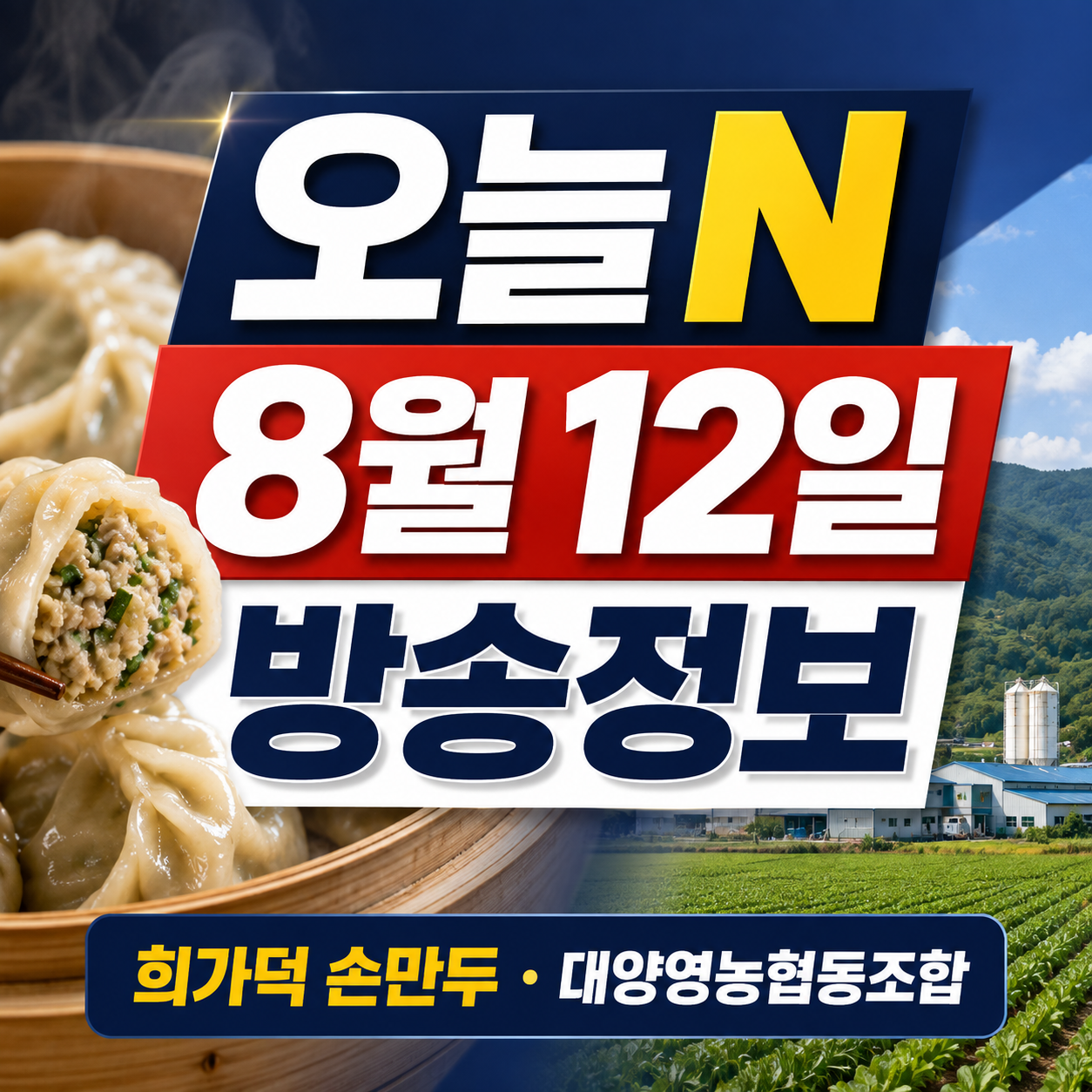오늘N 8월 12일 방송정보