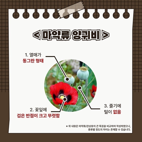 갯골생태공원