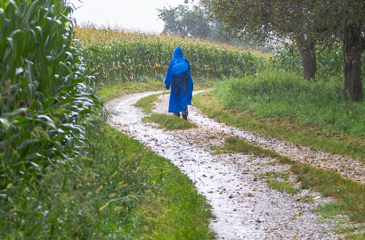 비 오는 날 일부러 떠난 조용한 여행