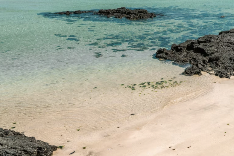 제주도 배편 차량요금