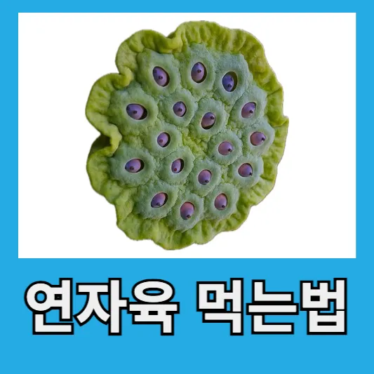 연자육 먹는법
