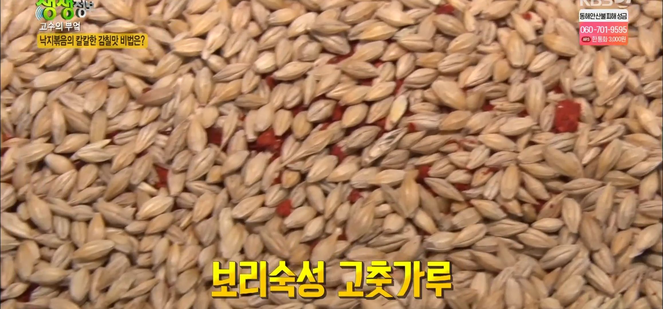 생생정보_낙지보쌈삼합_초담골_05