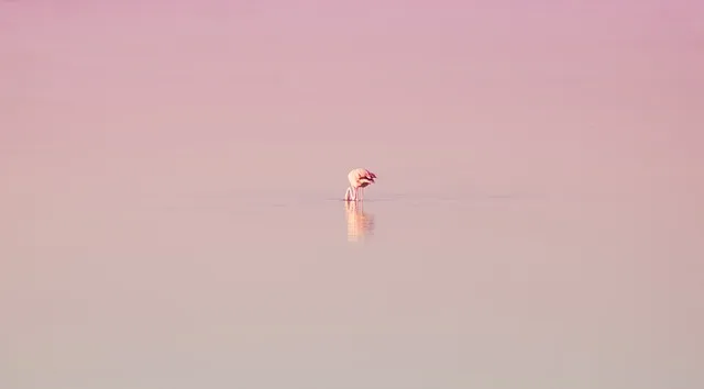 사회복지사 2급 총정리