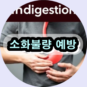 소화불량 원인,

소화불량 증상,

소화불량 치료법,

소화불량 자연 치료,

소화불량 예방 방법,

위장 건강 관리,

속쓰림 완화 방법,

더부룩함 해결,

위산 역류 대처법,

소화 기능 개선 식품,