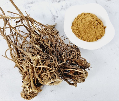 엉겅퀴 분말 사진