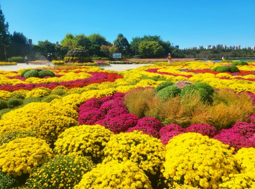 2025 고양국제꽃박람회